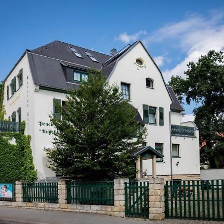 Villa Angelika Dresde Exterior foto